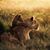Cheyenne Kawuneeche's profile image