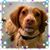 Lynn Carlo's profile image