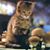 Tina Manzullo's profile image