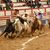 Paco Limas Segovia's profile image