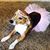 Luise Hooper's profile image