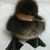 Noah Wyle's profile image