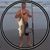Matt Caffey's profile image