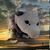 Cyndi Hocking's profile image