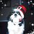 Paula Mathis Brown's profile image