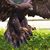 Paul Cook's profile image