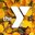 YMCA of the Rockies's profile image
