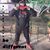 Jay Whitfield's profile image