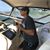 Eyal Golan's profile image