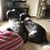Renee Roper Harwood's profile image