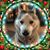 Linda Rutter's profile image