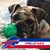 Kathleen Shanahan Green's profile image