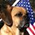 Tim Longley's profile image