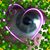 Debbie Walter's profile image