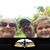 Nicole Fontenot's profile image