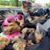 Kim Breland Guilbeau's profile image