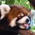 Gavin Guile's profile image