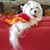 Debbie Edwards Fisher's profile image
