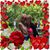 Michelle Wilson's profile image
