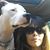 Tawney Jeffries's profile image