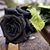 Lizz Aguirre's profile image