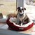 Judy Metz's profile image