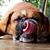 Marcos Plazola's profile image