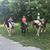 Deb Lynne Hansford's profile image