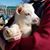 Teresa Sweetland's profile image