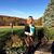 Linda Masemer Heindel's profile image