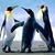 Gauthier U Monette's profile image