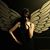 Angela Liu's profile image