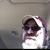 Joe Hickson's profile image