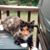 Kimberly Simpson's profile image