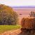 Mary Byrne Eigel's profile image
