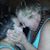 Lydia Dian Parrish's profile image