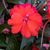 Bonnie Cormack Whitaker's profile image