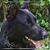 Krissa Johnson's profile image