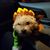 Rex Scates's profile image