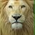 Laurie Ann Bonjour's profile image