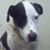 Janet Wunder's profile image