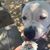 Samantha Nicole Marcovitch's profile image