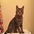 Mona Berry Huggins's profile image