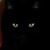 Salem Macknee's profile image