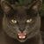 Britt Nicole Scott's profile image