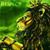 Mon PriMe's profile image