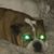 Tom Cargill's profile image