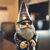 David C. Nelson Sr.'s profile image