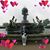 Beth Rubin's profile image