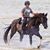 Susan Sperry's profile image
